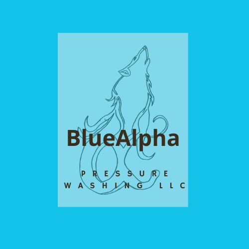 BlueAlphaPressureWashing